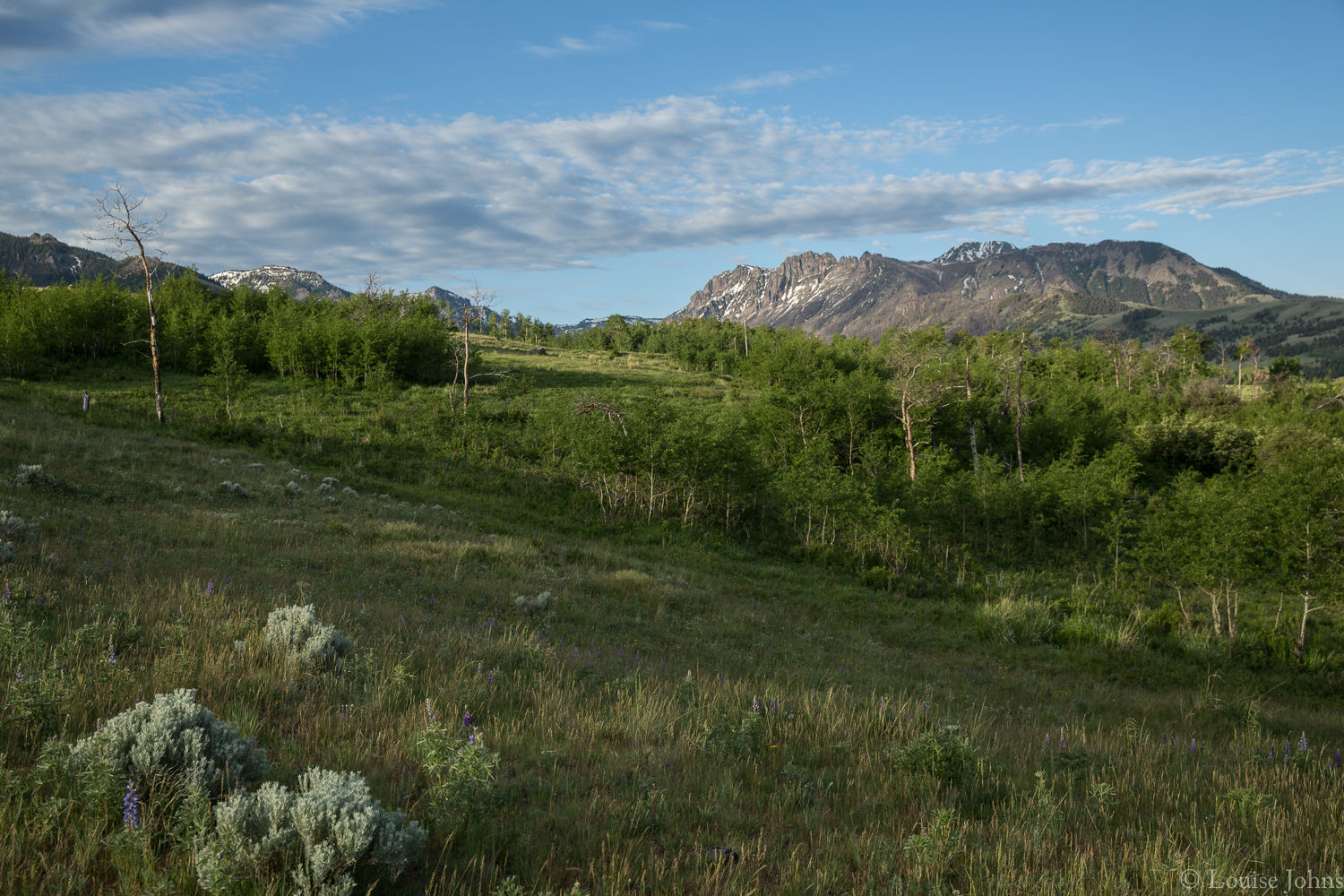 Tom Miner Basin